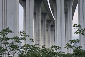 Photo concrete planters