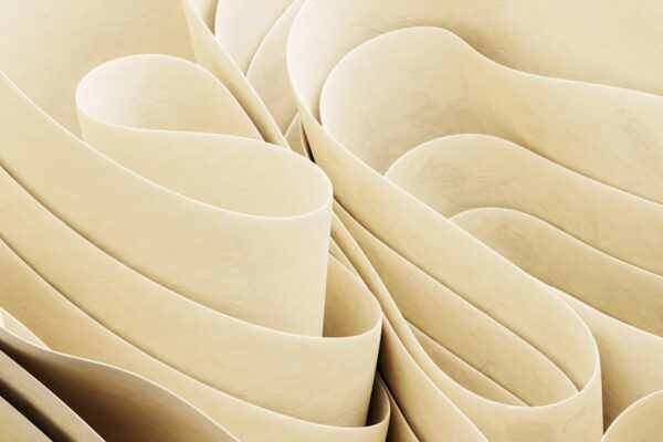 Photo corset types